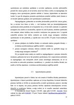 Referāts 'Apcietinājums pirmstiesas izmeklēšanā', 17.