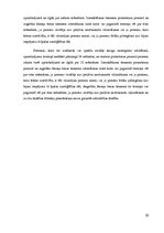 Referāts 'Apcietinājums pirmstiesas izmeklēšanā', 20.