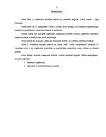 Diplomdarbs 'Uzņēmuma darbības analīze un attīstības iespējas', 2.