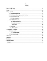 Diplomdarbs 'Uzņēmuma darbības analīze un attīstības iespējas', 4.