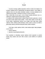 Diplomdarbs 'Uzņēmuma darbības analīze un attīstības iespējas', 6.