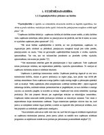 Diplomdarbs 'Uzņēmuma darbības analīze un attīstības iespējas', 7.