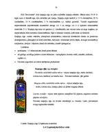 Diplomdarbs 'Uzņēmuma darbības analīze un attīstības iespējas', 20.