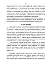 Diplomdarbs 'Uzņēmuma darbības analīze un attīstības iespējas', 25.