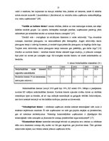 Diplomdarbs 'Uzņēmuma darbības analīze un attīstības iespējas', 27.