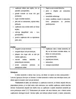 Diplomdarbs 'Uzņēmuma darbības analīze un attīstības iespējas', 29.