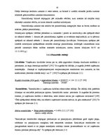 Diplomdarbs 'Uzņēmuma darbības analīze un attīstības iespējas', 43.