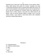 Diplomdarbs 'Uzņēmuma darbības analīze un attīstības iespējas', 47.