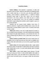 Konspekts 'Basketbols', 5.