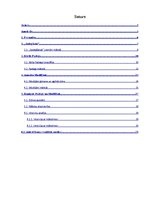 Referāts 'Kārlis Padegs un Amadeo Modiljāni. Personība un "sadegšana"', 2.