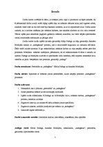 Referāts 'Kārlis Padegs un Amadeo Modiljāni. Personība un "sadegšana"', 5.