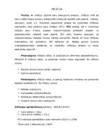 Referāts 'Inflācija', 1.