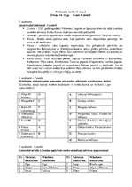 Paraugs 'Eiropa 14.-15.gadsimtā', 1.