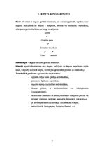 Referāts 'Elpošanas orgānu slimības bērniem', 4.