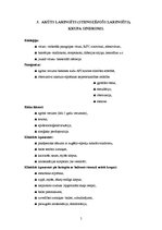 Referāts 'Elpošanas orgānu slimības bērniem', 5.