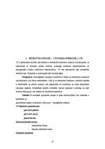 Referāts 'Elpošanas orgānu slimības bērniem', 19.