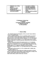 Biznesa plāns 'SIA "Mīlestības recepte"', 6.