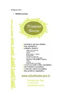 Biznesa plāns 'SIA "Mīlestības recepte"', 14.