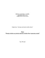 Eseja 'Paražu tiesības un pirmās rakstītās tiesības Seno Austrumu zemēs', 1.