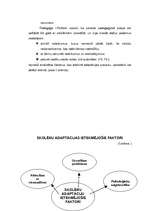 Diplomdarbs 'Skolēnu adaptācijas process 1.klasē', 13.