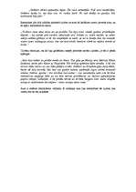 Konspekts 'Ēriha Marijas Remarka romāna "Laiks dzīvot un laiks mirt" analīze ', 3.