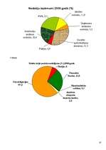 Referāts 'Valsts budžets', 19.