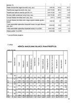 Referāts 'Valsts budžets', 26.