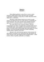 Eseja 'Decembris. Miniatūra', 1.