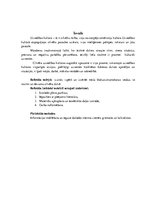 Referāts 'Uzvedības kultūras ētika un estētika', 3.