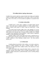 Referāts 'Uzvedības kultūras ētika un estētika', 4.