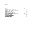 Referāts 'Internets', 1.