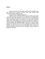 Referāts 'Internets', 2.