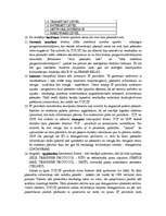 Referāts 'Internets', 5.