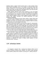 Referāts 'Internets', 6.