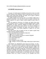 Referāts 'Internets', 11.