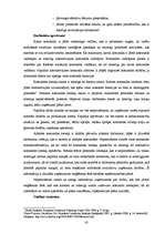 Diplomdarbs 'Darbības nepārtrauktības plāna ieviešana uzņēmumā', 45.