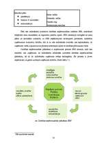 Diplomdarbs 'Darbības nepārtrauktības plāna ieviešana uzņēmumā', 56.