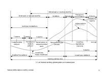 Referāts 'Inovācijas', 11.