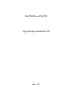 Konspekts 'Stikla šķiedru armētie kompozīta materiāli', 1.