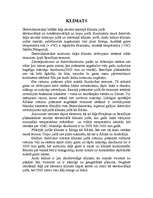 Referāts 'Amerika', 5.