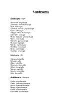 Konspekts 'Medicīnas termini', 2.