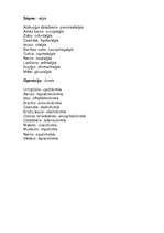 Konspekts 'Medicīnas termini', 3.