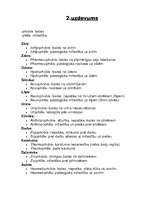 Konspekts 'Medicīnas termini', 4.