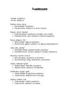 Konspekts 'Medicīnas termini', 5.