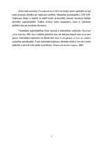 Referāts 'Uzņēmuma izmaksu salīdzinājums sākuma posmā Latvijā un Igaunijā', 7.