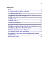 Referāts 'Uzņēmuma peļņu ietekmējošo faktoru analīze', 2.