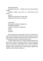 Referāts 'Nenogatavināto sieru iepakošana', 23.