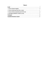 Referāts 'Pitirims Sorokins', 2.