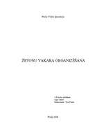 Referāts 'Žetona vakara noformēšana', 1.