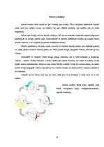 Referāts 'Iekšdedzes dzinējs', 10.